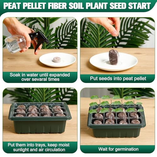 SiliFine 6 Pack Seed Starter Tray with 72 Pcs Peat Pellets, Seeding Starter Kit (72 Cells Total Tray) with Humidity Dome, Soil Plant Germination Tray Kit for Flower Vegetable(Black, Green) - color: Black, Green