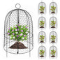 Kalolary 8 Packs Plant Protectors from Animals Large Wire Plants Cage - style: Cloche