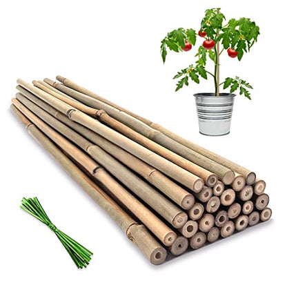 Plant Stakes,16IN Natural Garden Bamboo Sticks, 20Pcs Plant Support Stakes - size: 16 Inches, Pack of 20