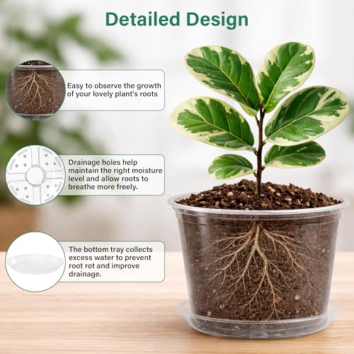 Bluepro Clear Nursery Pots with Saucers, 5/6/8/10 Inch, 12-Pack - size: 5/6/8/10 Inch-12Pcs