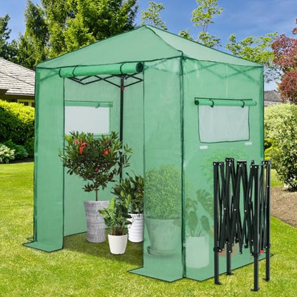 EAGLE PEAK 6x4 Easy Setup Small Pop Up Greenhouse, Clear/Green - color: Clear/Green, size: 6x4
