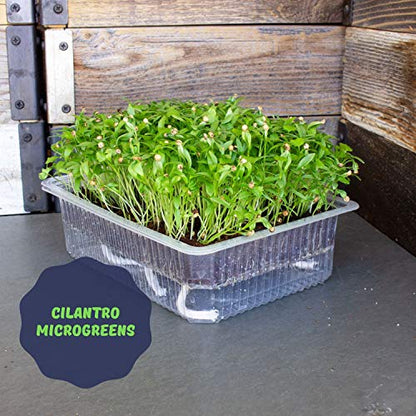 Mountain Valley Seed Co Self-Watering Indoor Microgreen Kit Complete Soil - size: Soil
