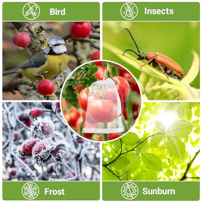 Fruit Cover Bags Against Birds, 25pcs 4x6 in Mesh Fruit Protection Bags with String, Netting for Fruit Trees Vegetables Flowers Protection Away from Bugs Birds - size: 4"x6"/Pack of 25