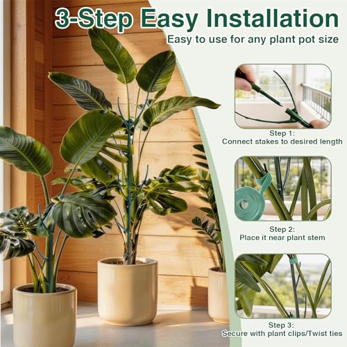 10Pack Stackable Plant Support, 2 in 1 Monstable Plant Stakes & Tomato Cage Kits for Indoor Outdoor Climibing Plants, Durable Alternative to Moss Pole Sticks Trellis for Houseplants Potted - size: 10 Pack