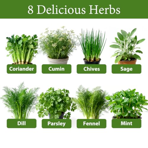 LUOJIBIE Indoor Herb Garden Kit, Complete Herb Starter Growing Kit with Seeds & Tools, Christmas Birthday Gifts for Women Men Mom Dad, House Warming New Home Kitchen Gifts for Girls Boys Plant Lovers