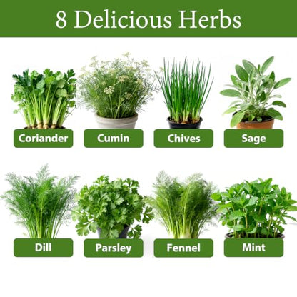 LUOJIBIE Indoor Herb Garden Kit, Complete Herb Starter Growing Kit with Seeds & Tools, Christmas Birthday Gifts for Women Men Mom Dad, House Warming New Home Kitchen Gifts for Girls Boys Plant Lovers