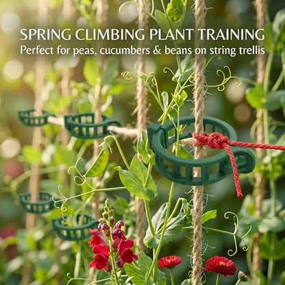 300Pcs Tomato Clips, Reusable Plant Support Clips for Climbing Plants, Garden Clips for Tomato Vine, Trellis Clips for String Trellis, Plant Fixing Clips for Vegetables (Green)