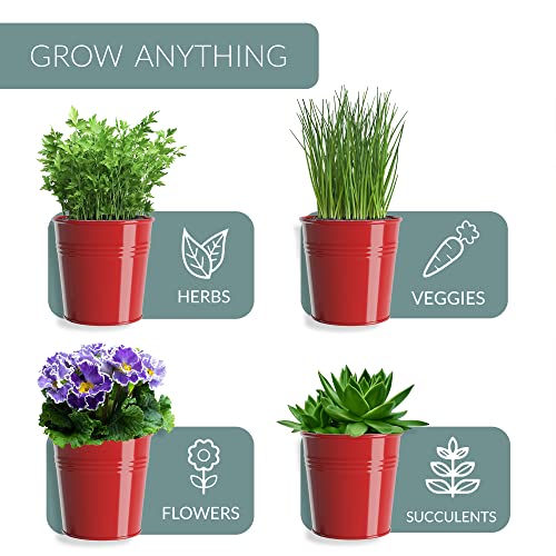 Barnyard Designs Indoor Herb Garden Planter Pots Set/3 (Brick Red) - color: Brick Red