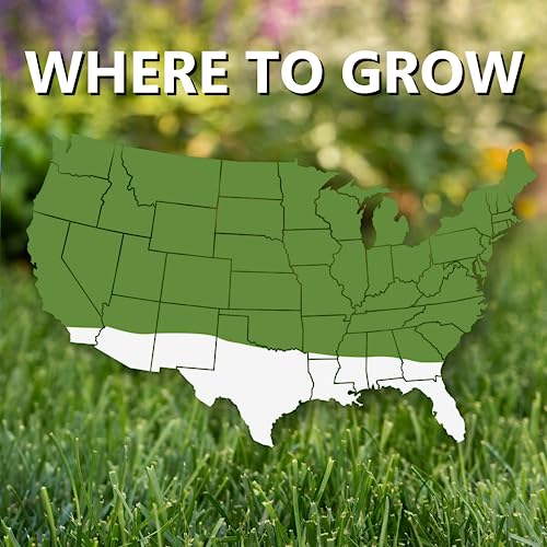 Jonathan Green Fast Grow Grass Seed - Cool Season Lawn Seed - 3 lb - size: 3 pounds