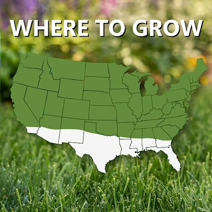 Jonathan Green Fast Grow Grass Seed - Cool Season Lawn Seed - 3 lb - size: 3 pounds