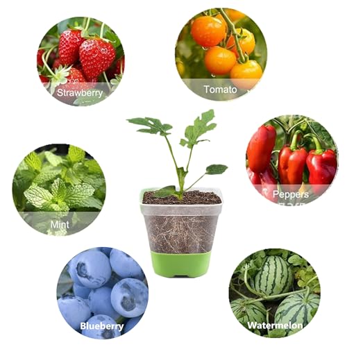 6pcs Seed Starter Tray, Silicone Seeding Starter with Pop-Out Cells - size: 6 PCS Green