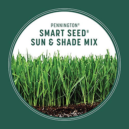 Pennington Smart Seed Sun and Shade Mix North Grass Seed, 20 lb - size: Sun & Shade North,20lb