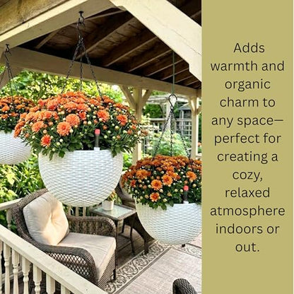 LaLaGreen Hanging Pots for Indoor (11in, 3 Pack) Self-Watering Plant Holder - color: White X 4 Pack