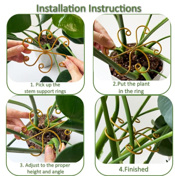 5PCS Plant Stem Support Rings for Monstera & Indoor Plants, 4.1 x 3.9 in Metal Plant Stem Holder