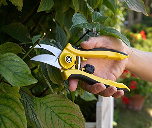 Dramm 18045 ColorPoint Bypass Pruner with Stainless Steel Blade, Blue - color: Blue, style: Bypass Pruner