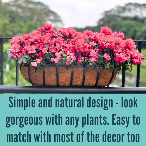 LaLaGreen Flower Wall Planter (24 in, 4 Pack) Black Coco Liner Window Box - size: 24" x 4