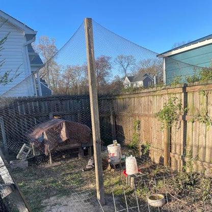 Junflying 50x100 FT Chicken Netting for Hawks & Predator Protection - size: 50x100 FT