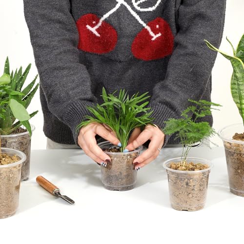 JNYONG 120 Pack 4 Inch Clear Nursery Pots with Drainage Hole - size: 4 Inch 120 pack