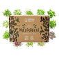 Mountain Valley Seed Co Self-Watering Indoor Microgreen Kit Complete Soil - size: Soil