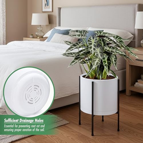 D'vine Dev Plastic Planter Pot with Metal Stand, White, 10 in, 55-D-A-2 - color: White, size: 10 Inch