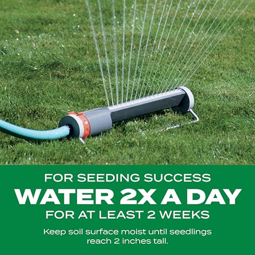 Scotts Turf Builder Thick'R Lawn Bermudagrass - Covers 1,200 sq. ft., Combination Seed, Fertilizer and Soil Improver, Fill and Repair Gaps in Thin Lawns and Enhance Root Development, 12 lb. - size: 12 lb.