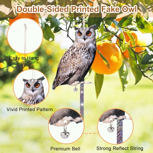 Owl to Keep Pigeons Away, 5 Pack Fake Owls, Pigeon Scare - color: Amazed Eagle 5pc