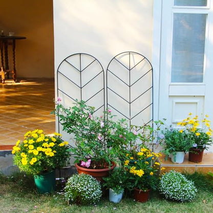 2 Pack Black Metal Trellis for Climbing Plants - 45" H x 15.9" W Garden Trellis for Roses, Vegetables, Flowers, Lawn, Backyard - color: 45 inch-2 pack
