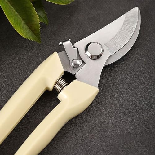 Premium Branch Pruning Shears, Stainless Steel Blade Drop Forged Body and Handle, Ultra Fine Polished Gardening Shears for Tree Trimming Shaping Deadheading