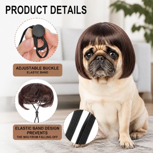 6 Pack Funny Cat and Dog Wig - color: Colorful-3