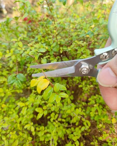 Fondwell 6" Small Pruning Shears Garden Scissors for Indoor Plants Trimming