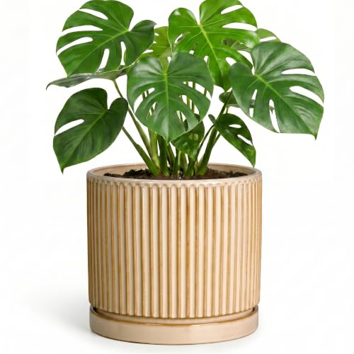 8 Inch Flower Pot, Ceramic Planters, Round Plant Pot, Beige - color: Beige, size: 8 Inch