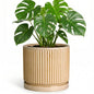 8 Inch Flower Pot, Ceramic Planters, Round Plant Pot, Beige - color: Beige, size: 8 Inch