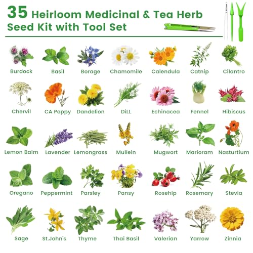 35 Herb Seeds Variety Pack, 16,400+ Non-GMO Heirloom Seeds for Planting