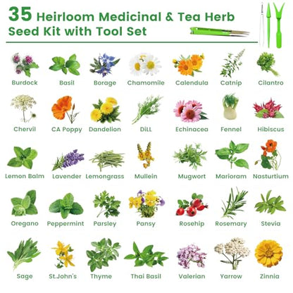 35 Herb Seeds Variety Pack, 16,400+ Non-GMO Heirloom Seeds for Planting