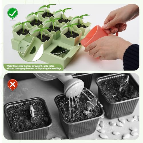 Seed Starter Tray with Lift-Out Handles for Easy Transplanting