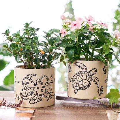 STHIE 5 Inch Ceramic Plant Pots for Indoor Plant with Drainage, Sea Turtle - color: Sea Turtle
