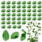 RAINFLOW 90PCS Plant Wall Clips - 108 Adhesive Stickers for Climbing Vines