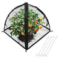 Strawberry Plant Protector,22 x22 x 22 Inch Cloche Dome for Plants