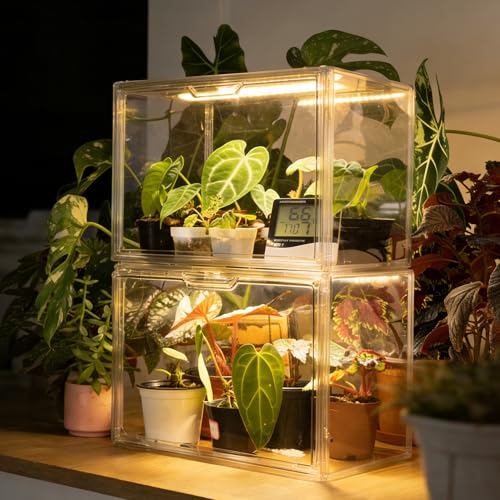Bstrip Small Tabletop Greenhouse with Grow Light, Indoor Seed Starter Kit