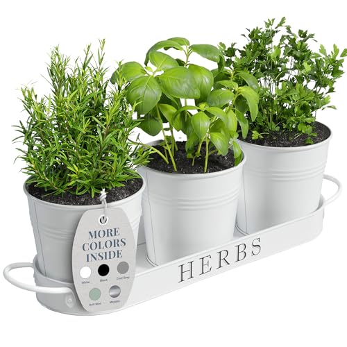 Barnyard Designs Indoor Herb Garden Planter Pots with Tray Set/3 (White) - color: White