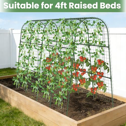 Cucumber Trellis, Metal Garden Arch Trellis for Raised Bed, 63 x 48inch U-Shape Garden Trellis for Climbing Plants Outdoor, Vegetables Fruit Plant Support with Netting, Gardening Supplies (Green) - size: 63 x 48 inch