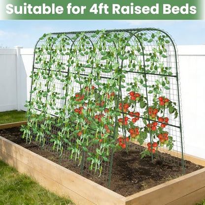 Cucumber Trellis, Metal Garden Arch Trellis for Raised Bed, 63 x 48inch U-Shape Garden Trellis for Climbing Plants Outdoor, Vegetables Fruit Plant Support with Netting, Gardening Supplies (Green) - size: 63 x 48 inch