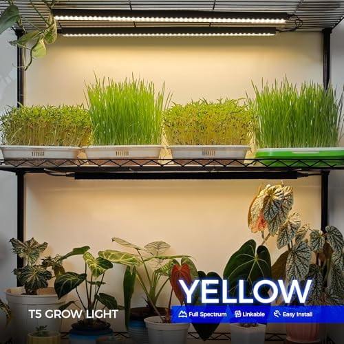 Barrina T5 Grow Lights, 2FT 40W (4 X 10W), Yellow, Black Cover, 4 Packs - color: Yellow, size: 2FT-Black Cover