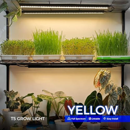 Barrina T5 Grow Lights, 2FT 40W (4 X 10W), Yellow, Black Cover, 4 Packs - color: Yellow, size: 2FT-Black Cover