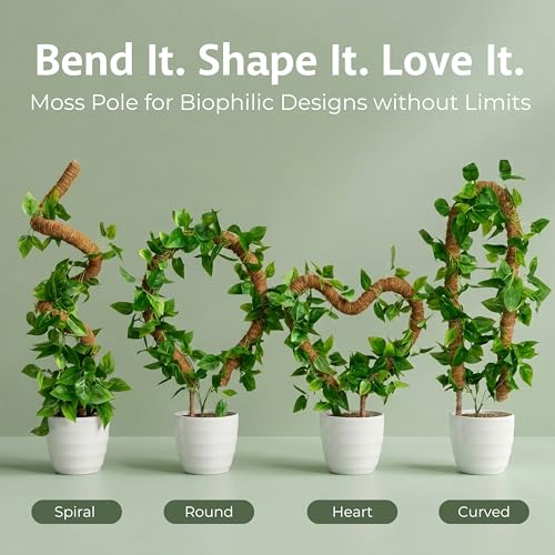 30 Inches Bendable 2 Pack Moss Pole Monstera Plant Support Stakes - Moss Poles for Climbing Plants, Plant Stakes for Indoor Plants - Coco Coir Pole Moss Stick for Monstera, Pothos. - size: 2 x 30 In (Bendable)