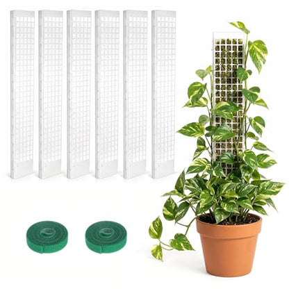 6 Pcs 24 Inch Plastic Moss Pole for Plants Monstera, D Shaped Moss Pole, Plant Poles for Climbing Plants, Plant Support for Indoor Plant Work with Sphagnum