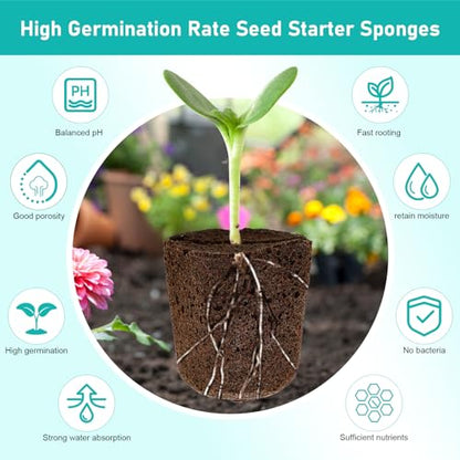 50P Seed Starter Sponge for Germinate Quickly Rapid Rooter Plug