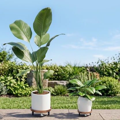 Plant Caddy With Wheels 12" Metal Plant Saucers for Indoors 310 Lb Capacity - size: 2 PACK 12.12 INCH