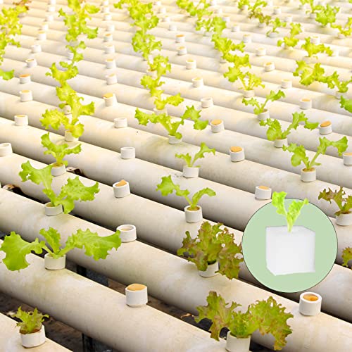 600 Pcs Hydroponic Sponges, 1 in Square Seedling Sponges for Bud