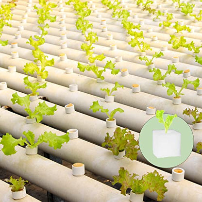 600 Pcs Hydroponic Sponges, 1 in Square Seedling Sponges for Bud